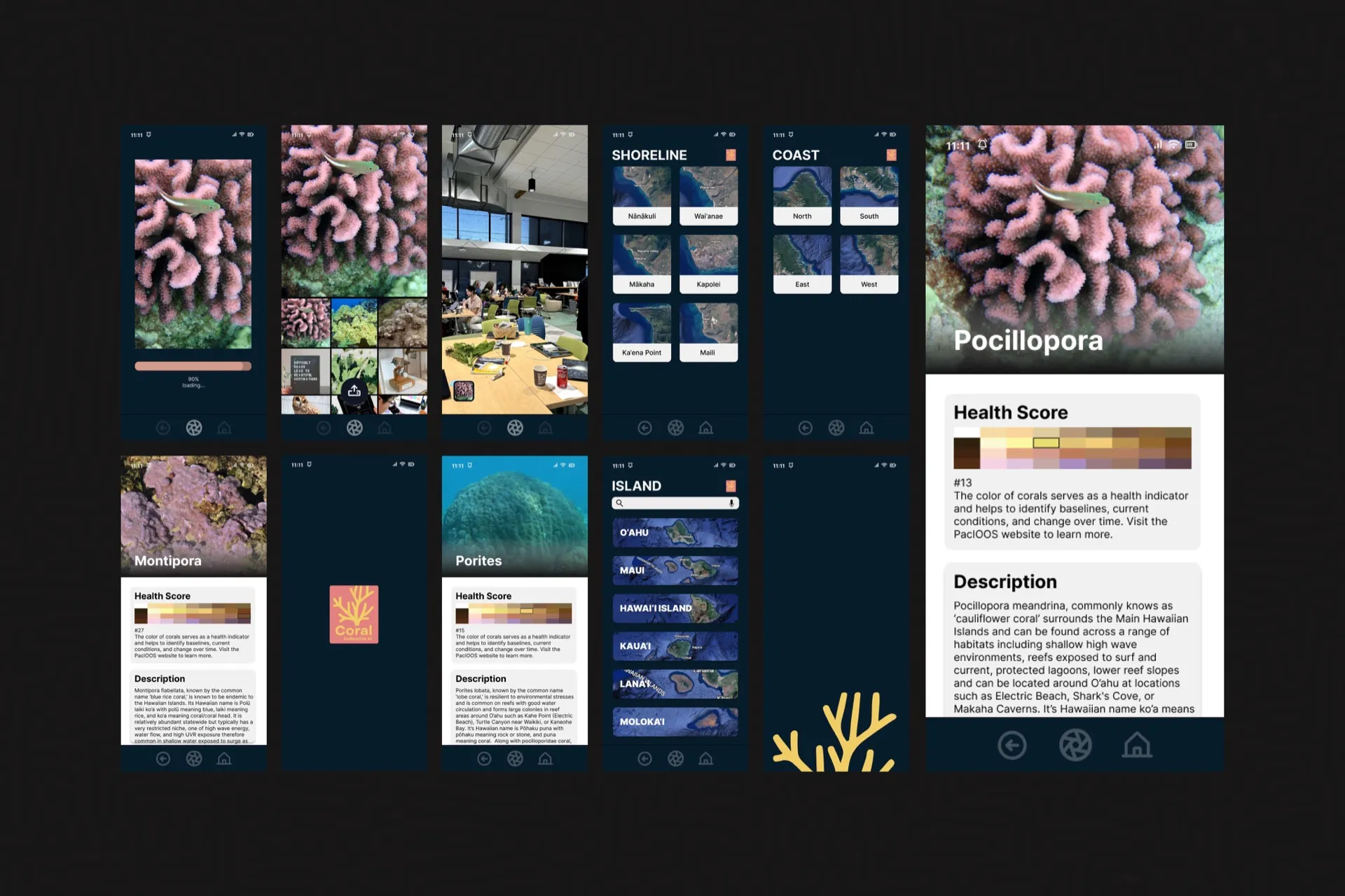 Diving Deep: Coral Conservation Powered by AI — Challenges & Solutions