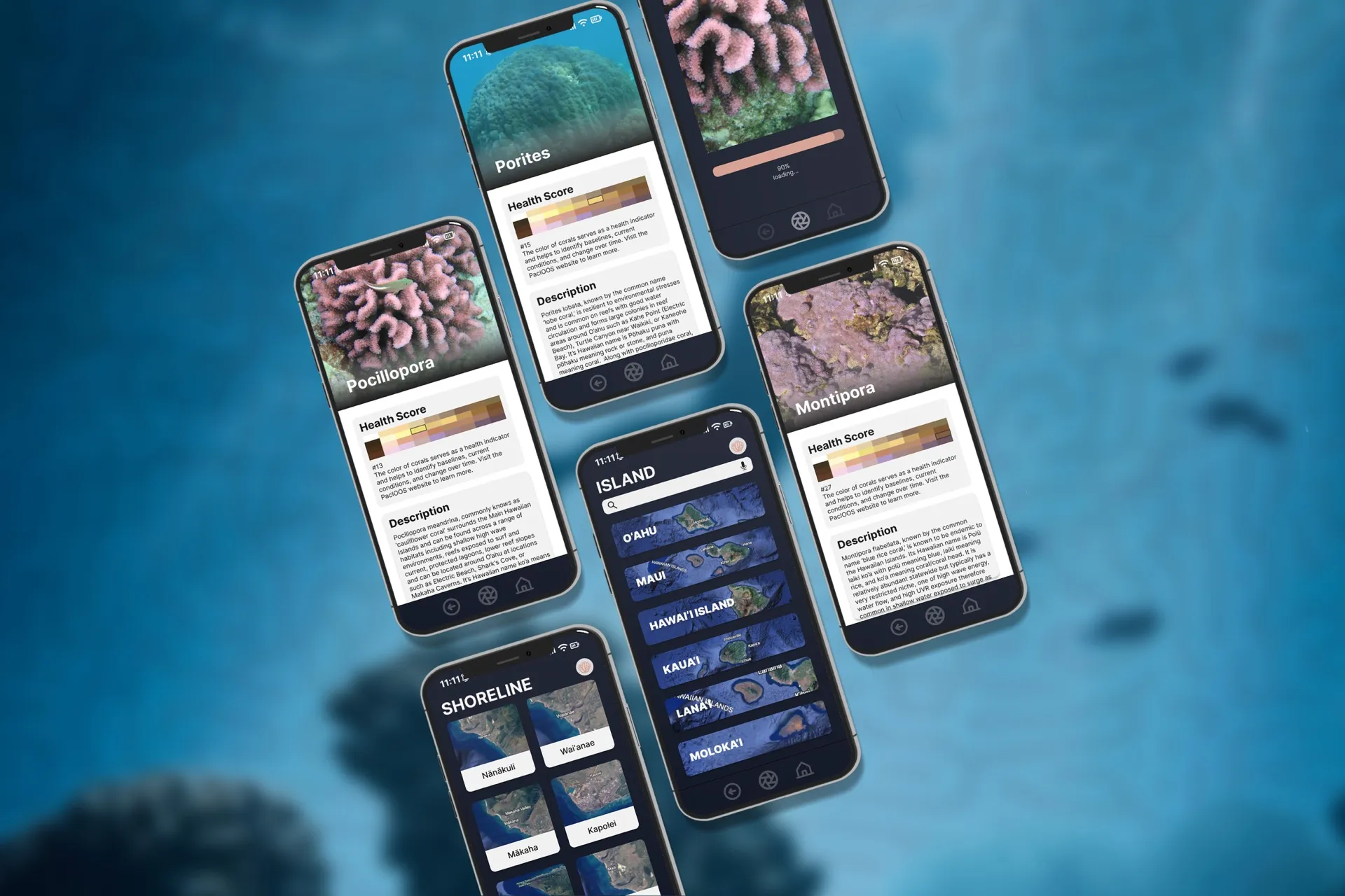 Diving Deep: Coral Conservation Powered by AI
