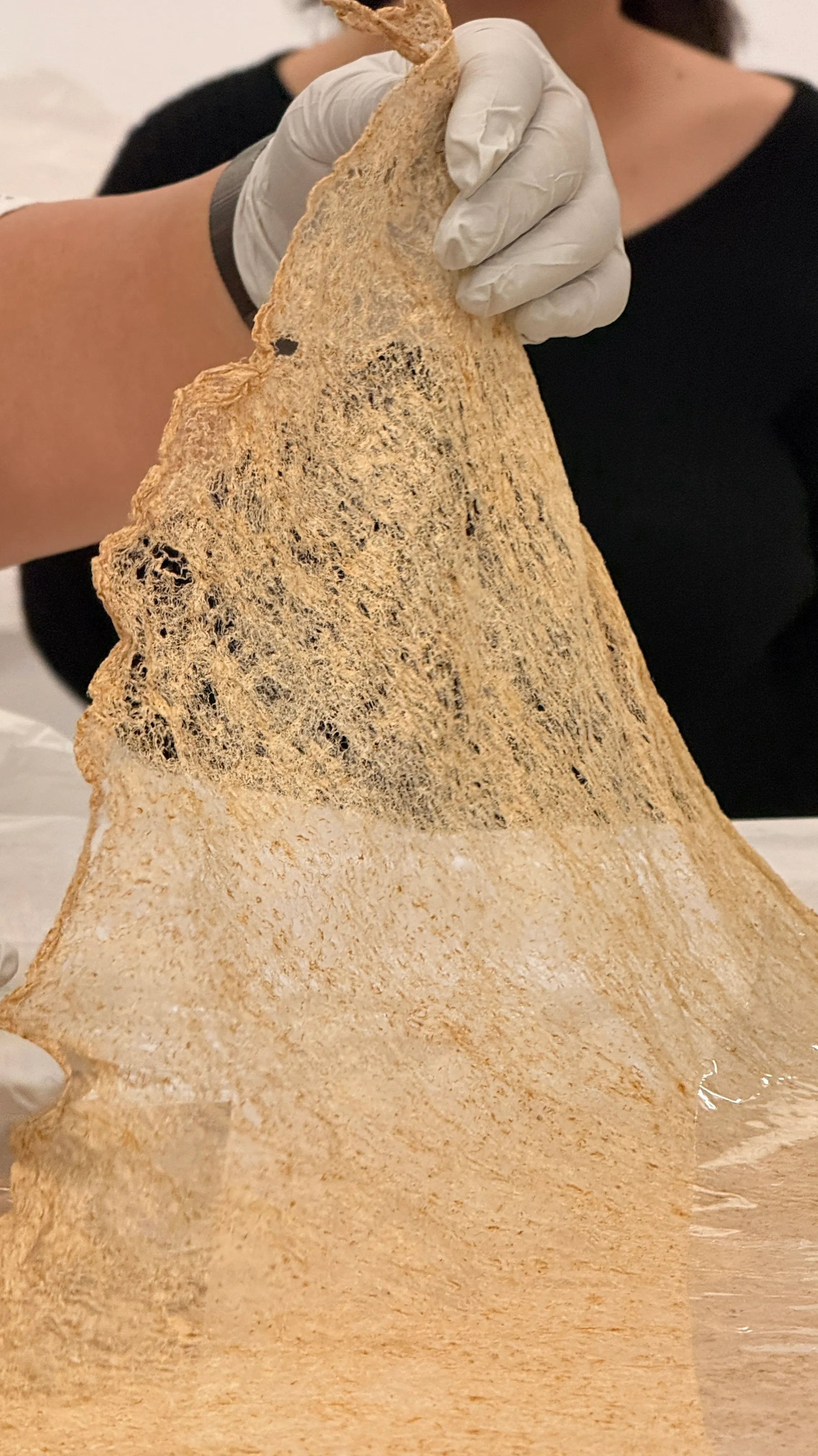 Ecological Creative Practice: Making Without Extraction