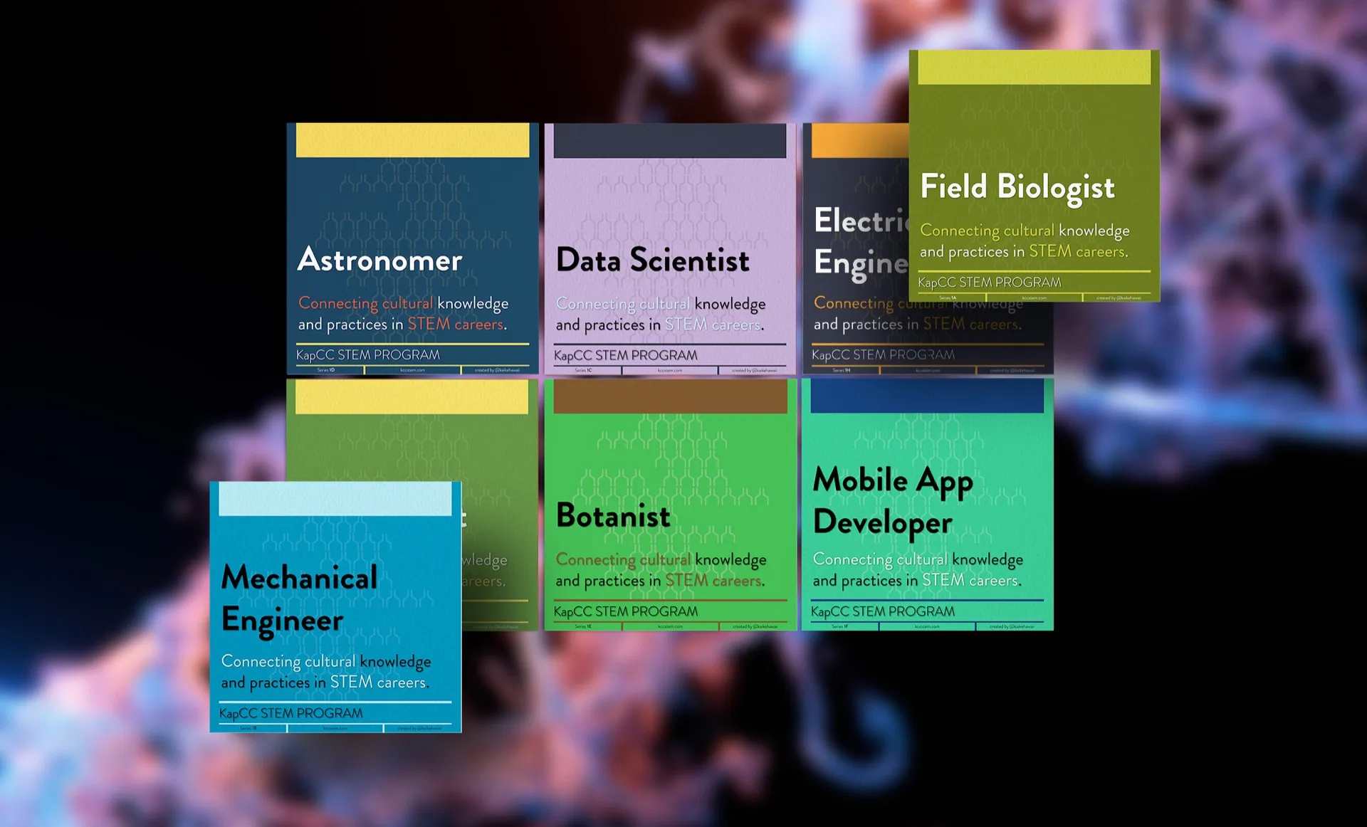 Hana: Bridging Culture & STEM Professions — Objectives and Goals