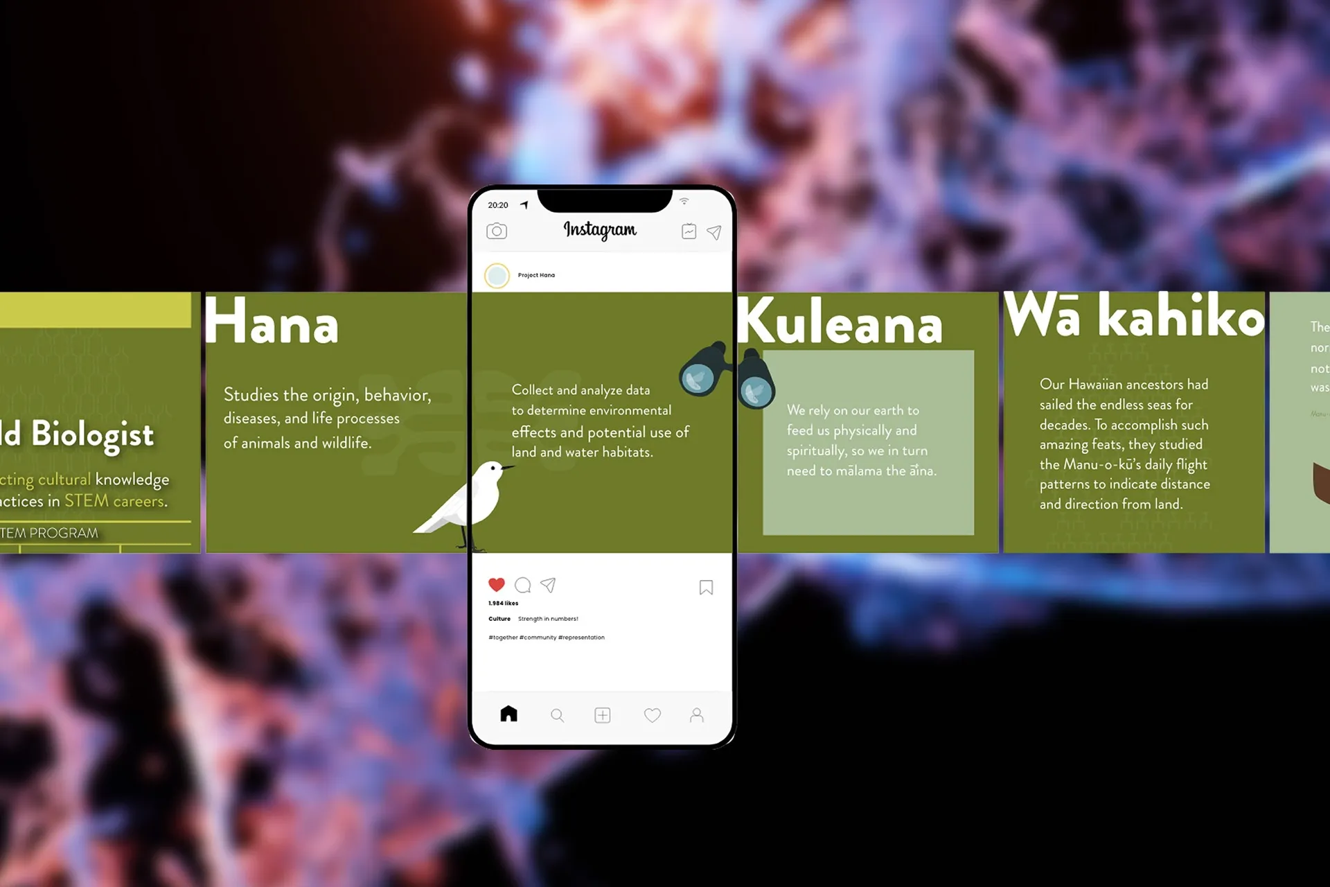 Hana: Bridging Culture & STEM Professions