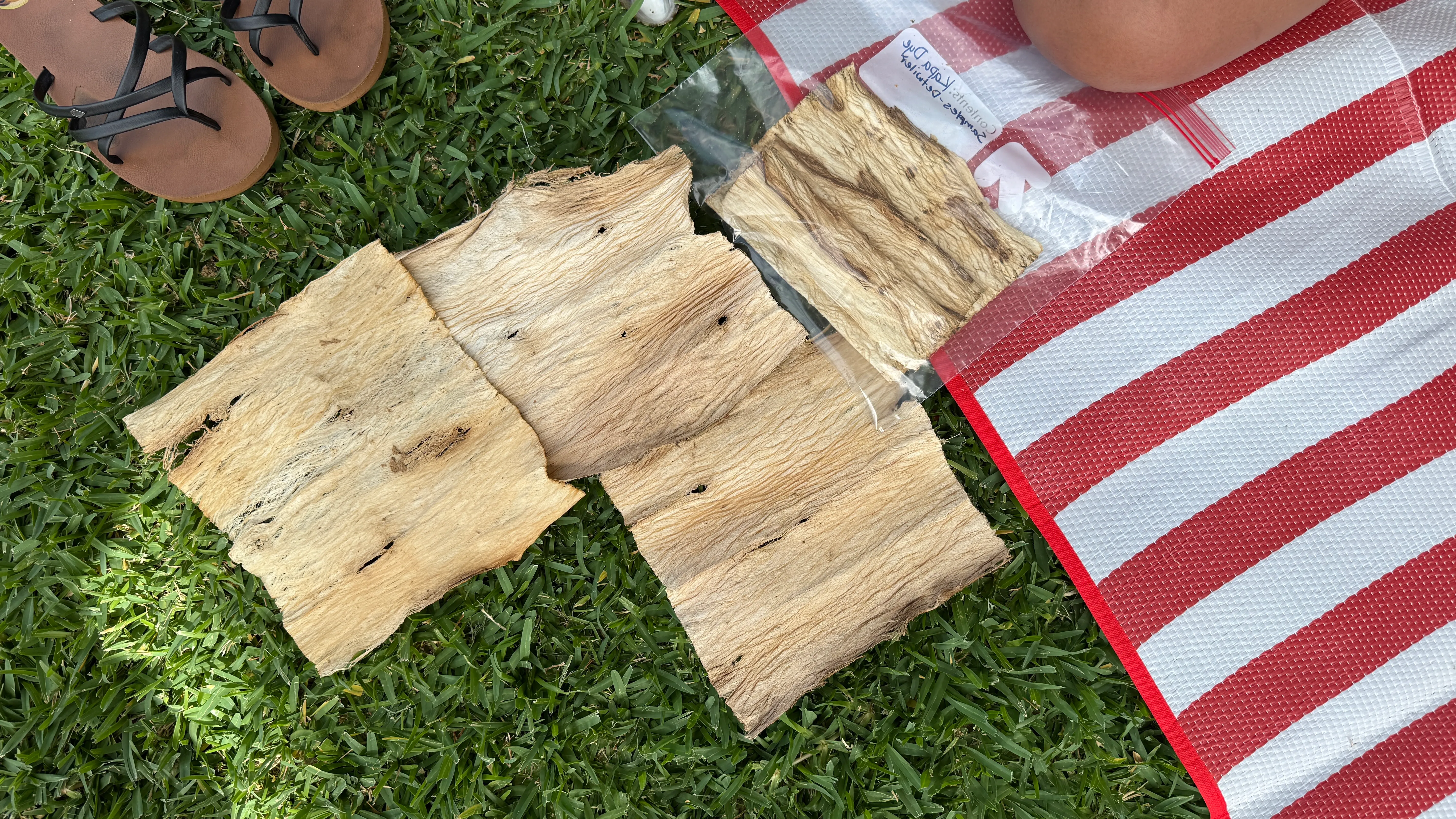 Kapa Is Not Craft: Understanding a Living Hawaiian Practice