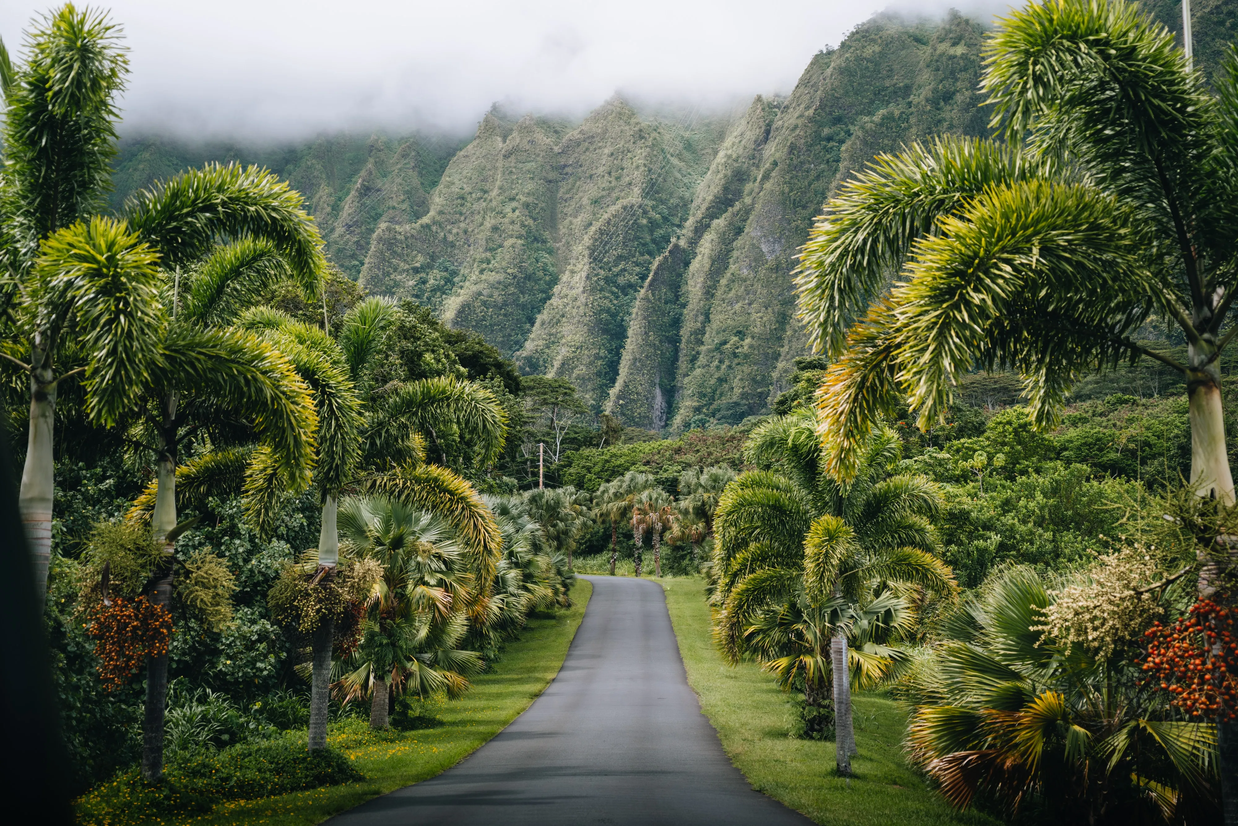 What Environmental Design Can Learn From Place-Based Knowledge