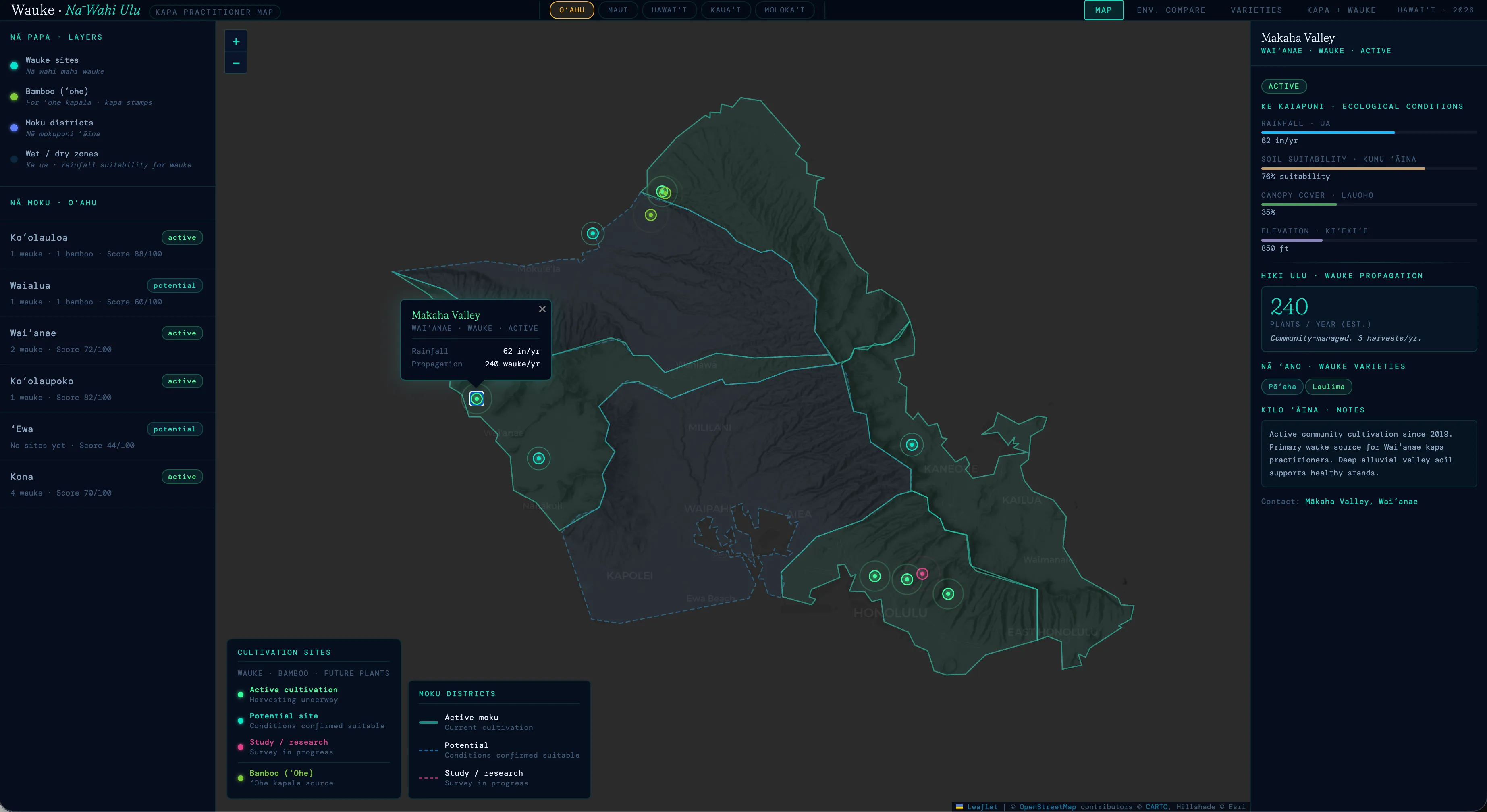 Wauke: A Living Map of Possibility — How It Works