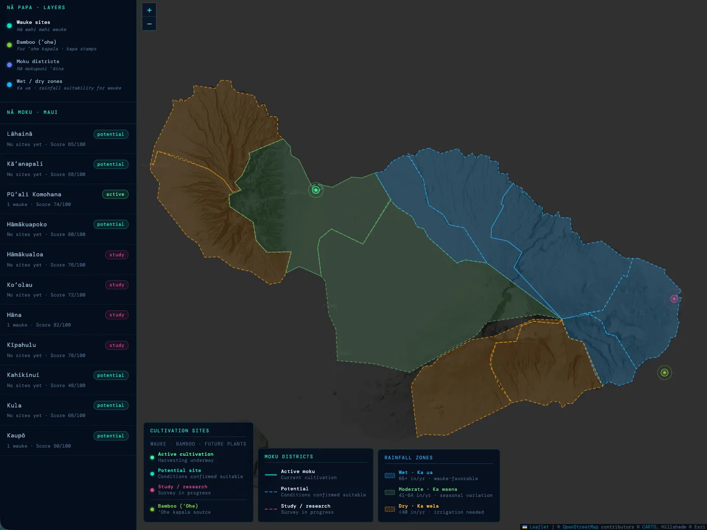 Wauke: A Living Map of Possibility — The Inversion